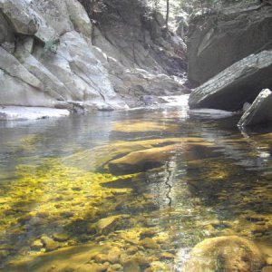 The stream at our campsite SOooo clear