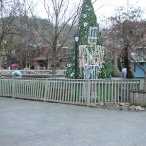 Dollywood 2010