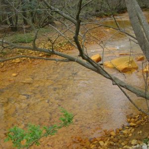 Don't drink the water in WVA.