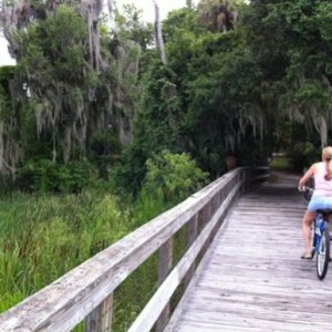 Boardwalk/Trail