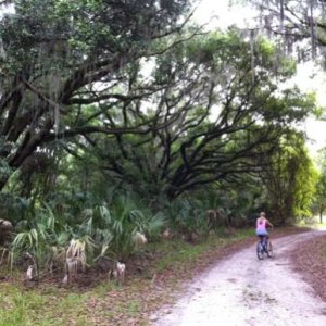 bike/hike trail