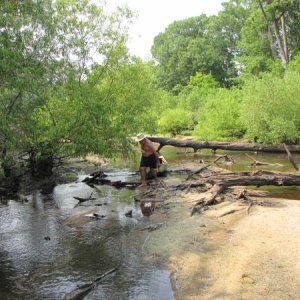 Low water and lots of blow downs made for an interesting day of getting in and out of the boats..... Ogeechee River above Rocky Ford.