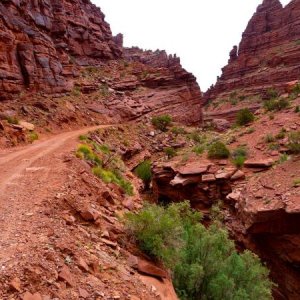 Onion Creek Trail.