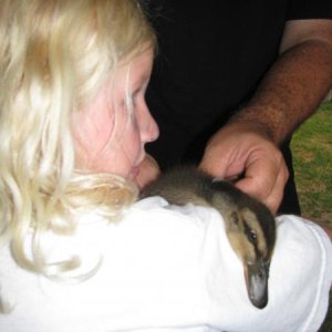 My daughter hanging onto a pet duck!