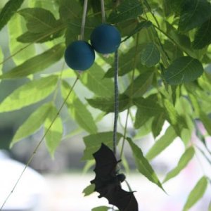 Enjoyed these decorations left in a tree by prior occupants of our campsite at Potato Creek SP. Couldn't help but imagine the parents tearing apart th