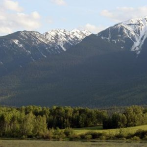 Rockies near McBride