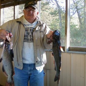 Father-in-laws Limb line cats from Glendale FWA  Indiana   Oct. 2011