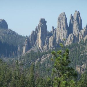 Along Needles Highway in Custer State Park