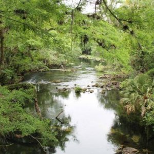 Hillsborough River State Park 4/20/13