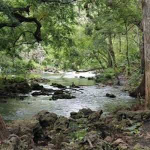 Hillsborough River State Park 4/20/13