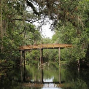 Hillsborough River State Park 4/20/13