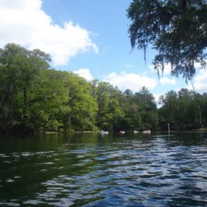 Rainbow River State Park 4/6/13