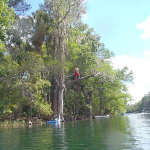 Rainbow River State Park 4/6/13