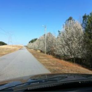 Entrance to Crooked Creek