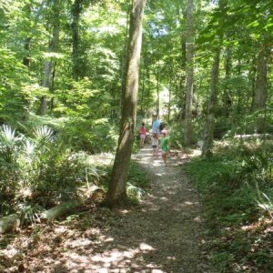 Beech Magnolia Trail - Florida Caverns SP - Memorial Day wkd