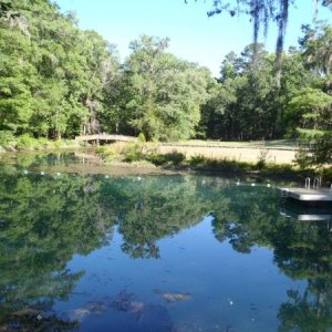 Blue Hole swimming hole - Florida Caverns SP - Memorial Day wkd