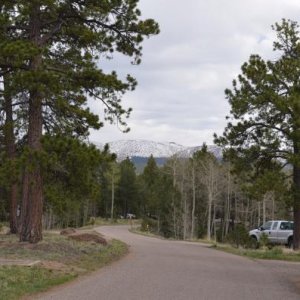 Looking down the road through the campground at Mueller State Park