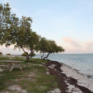 Curry Hammock SP, Marathon, FL