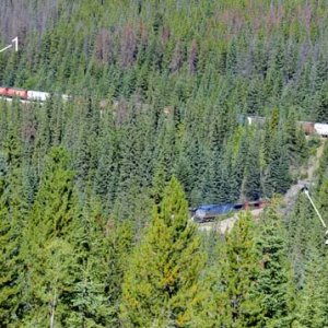 The Canadian Pacific Railroad runs over Kicking Horse Pass between British Columbia and Alberta. Two spiral tunnels were built to reduce the grade fro