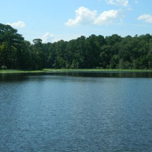 Lake from fishing pier