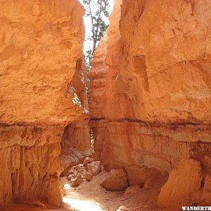 Bryce Canyon