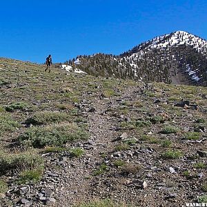 Telescope Peak