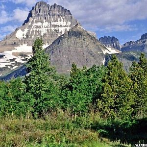 Good Views Abound in Many Glaciers