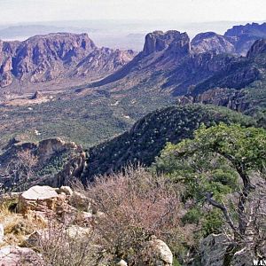 Chisos Basin from Emory Peak