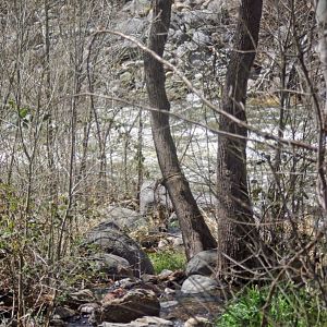 Oak Creek Canyon