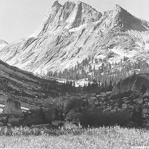 "Boaring River, Kings Region" by Ansel Adams, ca. 1936