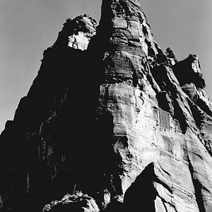 "In Zion National Park" by Ansel Adams, ca. 1933-1942