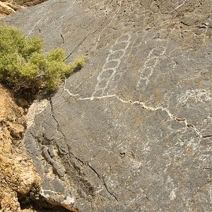 Petroglyphs ar Klare Sprigs in Titus Canyon