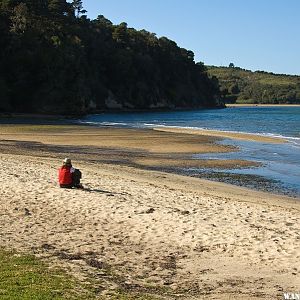 Heart's Desire Beach on Tomales Bay