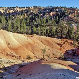 Starting down the Fairyland Trail