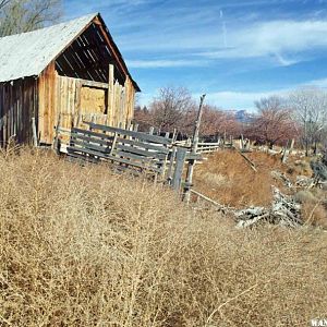 West Rim Trail--Remnants of homestead on the Horse Pasture Plateau