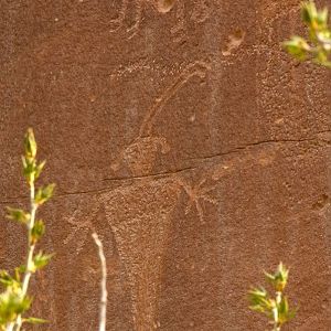 Fremont Petroglyphs