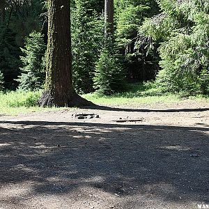 Scotts Campground - Ochoco Mountains