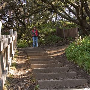 1906 Earthquake Offset Fence