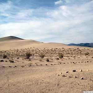 Lower Dunes