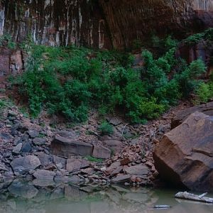 Down in the Emerald Pools