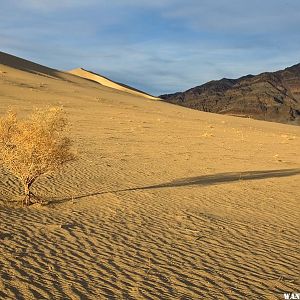 Eureka Sand Dunes