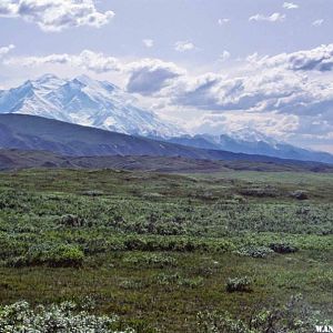 Between Eielson and Wonder Lake