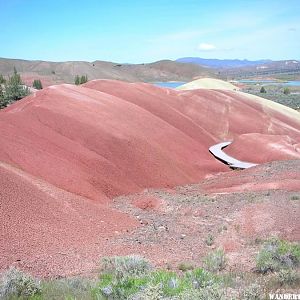 Painted Cove Trail