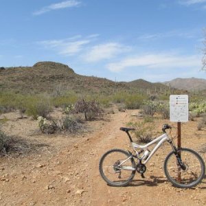 Sweet Water Mtn Bike Trails Tucson AZ