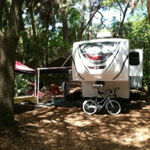 Hunting Island SC site 102