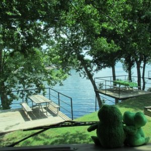 Mr. & Mrs. Frogs thinking, "What a view from the windshield!" Waters Edge,Grand lake,OK.