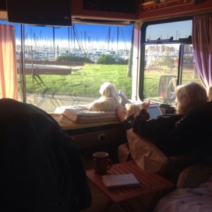 View of Chula Vista Marina out the front window of our Georgetown Feb 2014