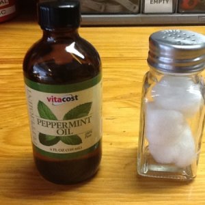 Mouse protection.  One tablespoon peppermint oil in three cotton balls in a salt shaker.