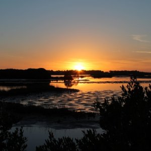 Cedar Key March '14