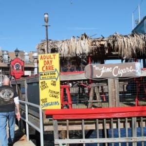 Cedar Key March '14